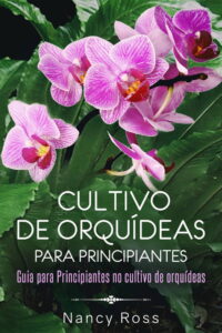 orquideas 2