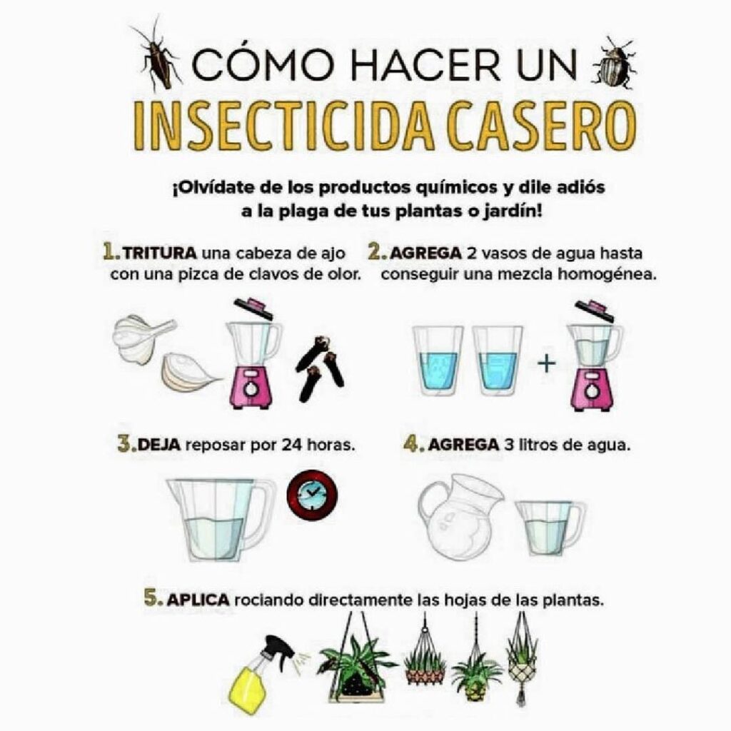 pesticida casero scaled