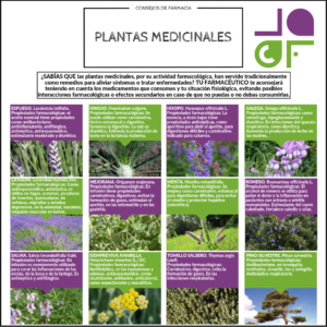 plantas antiinflamatorias